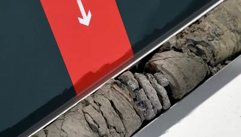 Dinozor Fosili Müze Otoparkında Bulundu: Bilim Dünyasını Sarstı!