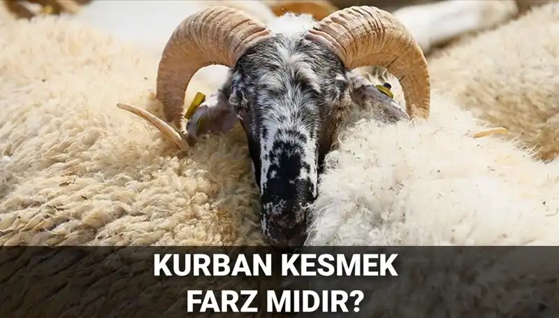 Kurban Kesmek Farz mı? Diyanet’e Göre Şartları ve Hükmü