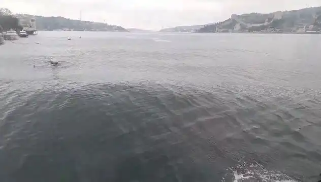 İstanbul Boğazı'nda Dalgalı Günler: Neler Oluyor?