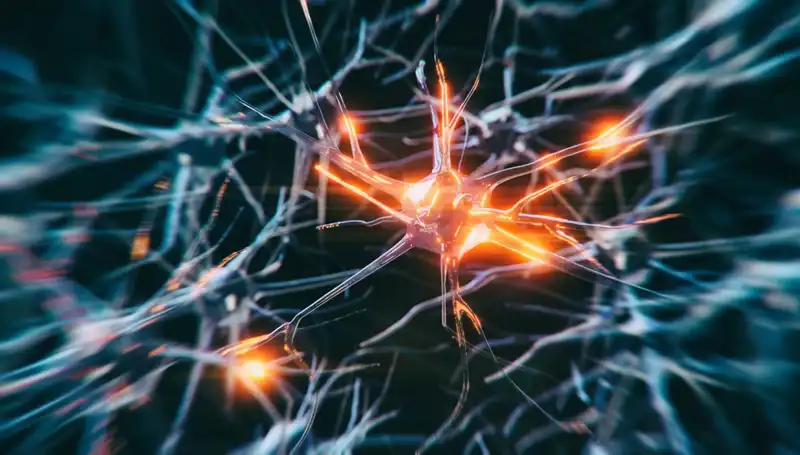Alzheimer Vakalarının Artış Nedenleri: Yerel Etkiler ve Çözümler