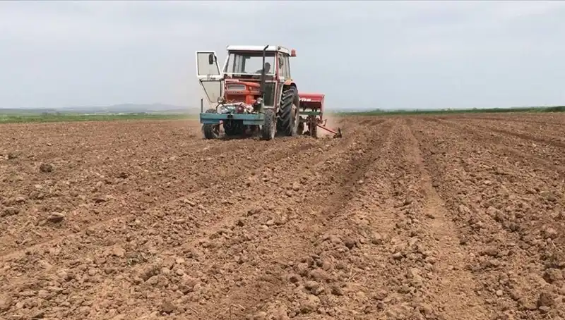 Son 35 Yılın En Kurak Mart'ı: Bölgedeki Yağış Miktarı Bir Hayli Düşüşte