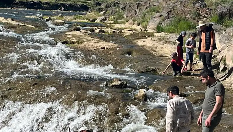 İnci Kefalinin Muazzam Göçü: Doğa Aşıklarının Yeni Rotası