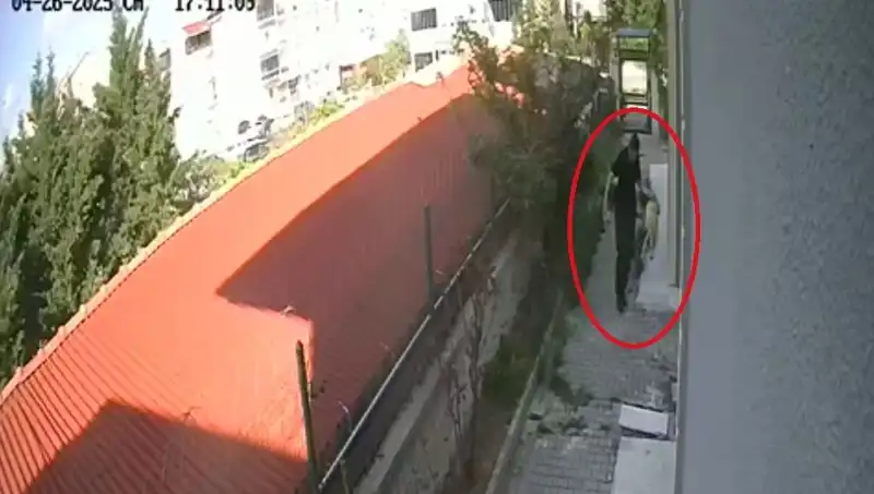 Veteriner Doktorunun İfşa Olan Korkunç Sırları: Evdeki Köpeklerle İlgili Şok Edici Olay
