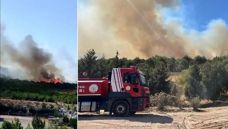 Gebze’de Eşsiz Doğaya Sahip Orman Yangını: Öncelikler ve Son Gelişmeler