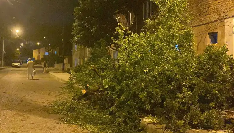 Karabük'te Fırtına Hayatı Olumsuz Etkiledi: Şehirde Neler Oluyor?