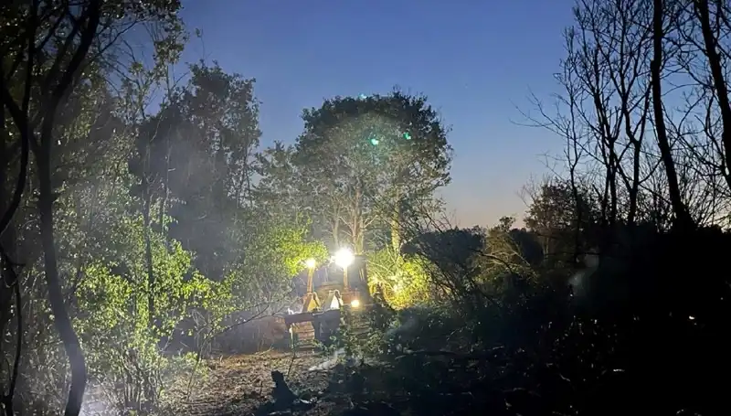 Edirne'de Orman Yangını Korkuttu, Ekipler Hızla Müdahale Etti
