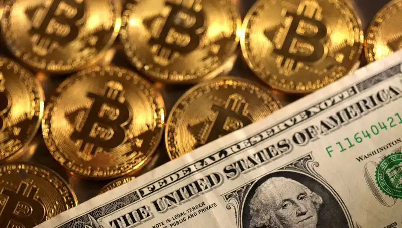Kripto Fonları Büyük Düşüş Yaşadı: 4,75 Milyar Dolar Kayıp