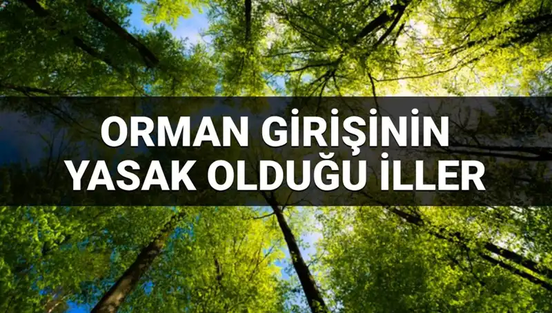 2025 Yılına Özel Orman Giriş Yasağı: Hangi İllerde Yasak Var?