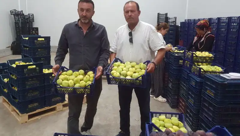 Mersinli Çiftçi, 20 TL’den İhraç Edilen Ürünle Yüzleri Gülüyor