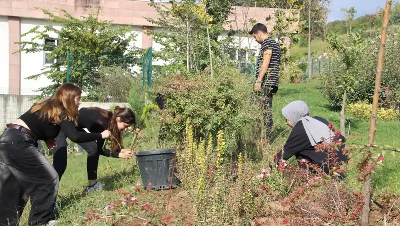 Düzce’nin Başarılı Girişimcisi, Hayalini Gerçeğe Dönüştürerek Dünya Çapında Ses Getirdi