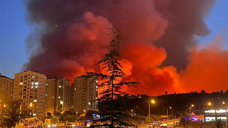 Bursa'da Korkutan Yangınlar: Şehri Saran Alevler Kısa Sürede Kontrol Altına Alındı