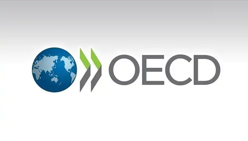 Türkiye'nin Ekonomik İvmesi: OECD Büyüme Tahminini Güncelledi