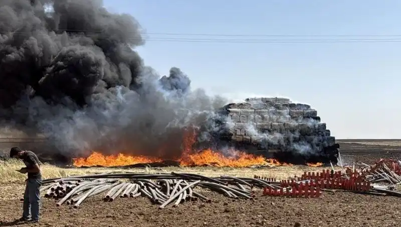 Mardin'de Anız Yangını: Tarım Arazilerini Tehdit Eden Felaket