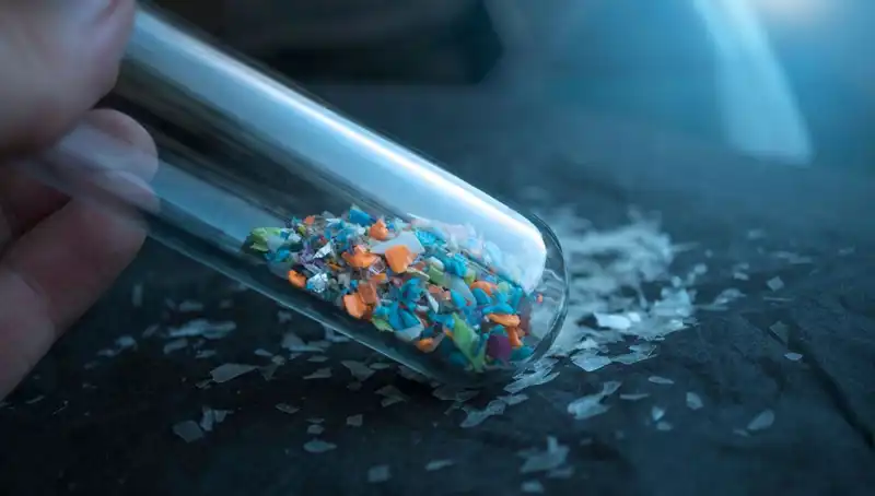 Mikroplastikler İnsan Beynine Kadar Sızdı: Neler Biliyoruz?