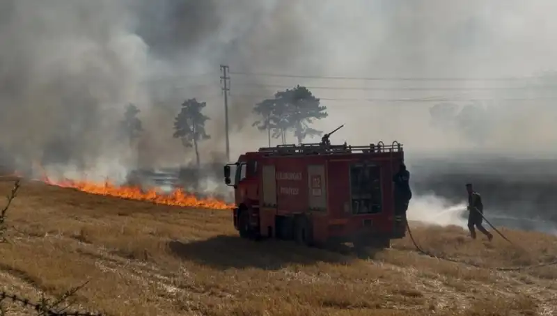Kırklareli'nde Korkutan Anız Yangını: Havaşivler Mahallesi'nde Yangın Kontrol Altına Alındı