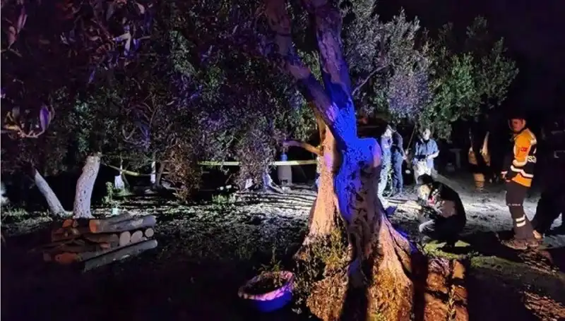 Çiftlikteki Baltalı Vahşete Soruşturma: Bir Şahıs Tutuklandı!
